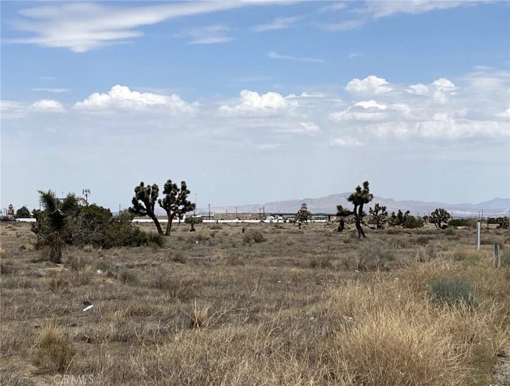 a view of a dry yard