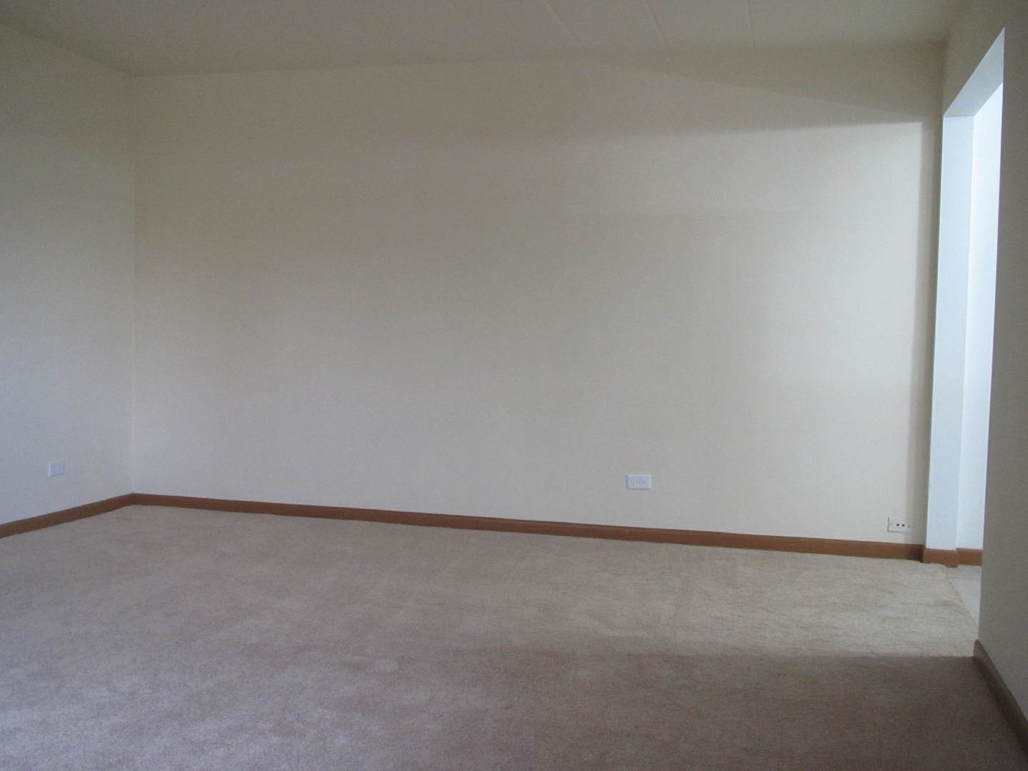 13 North Clifton Avenue, Unit 202 Park Ridge, IL 60068 - Photo 22 of 42