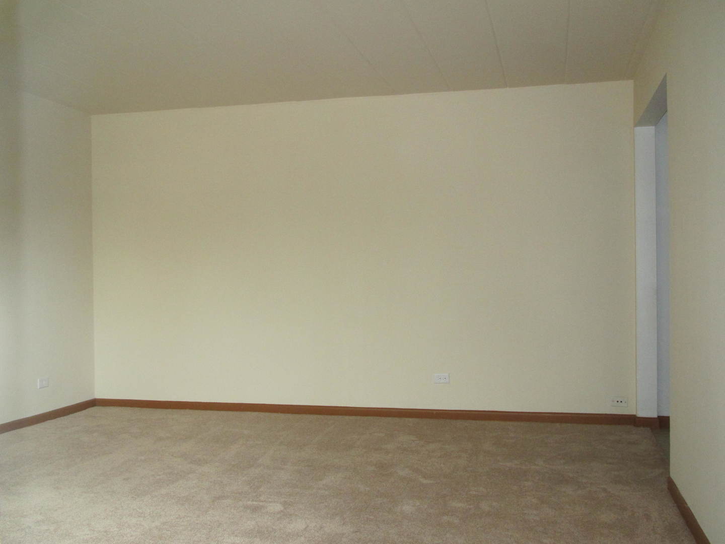 13 North Clifton Avenue, Unit 202 Park Ridge, IL 60068 - Photo 24 of 42