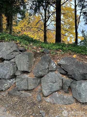 a view of outdoor space and street view