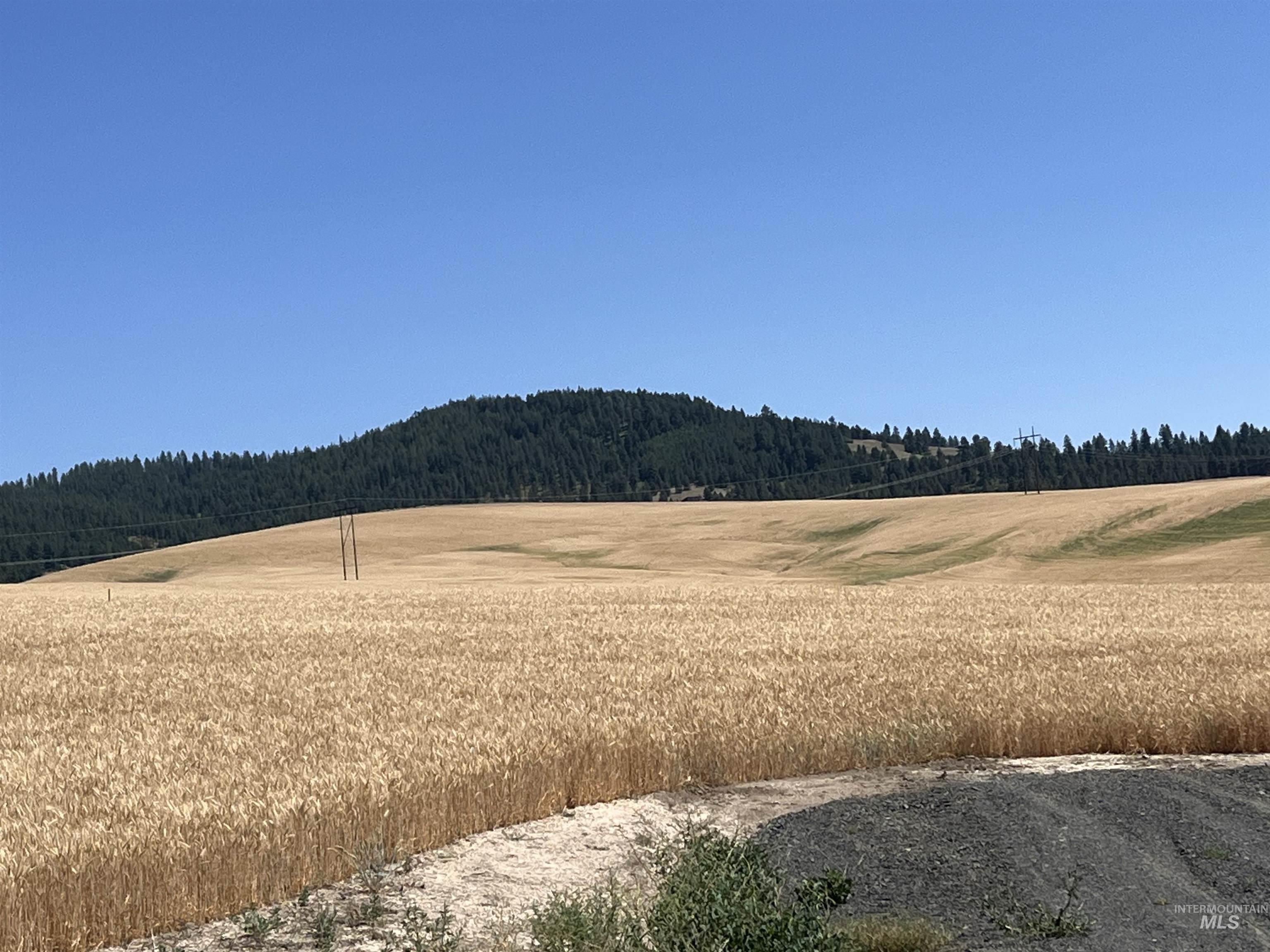 Tbd Tbd Gray Lane, Unit 1 Viola, ID 83872 - Photo 13 of 27 View of yard featuring a forest view