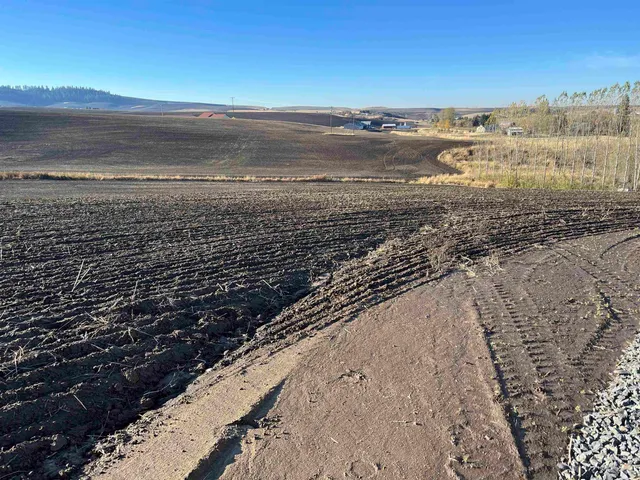 $150,000 | Tbd Tbd Gray Lane, Unit 1, Viola, ID 83872