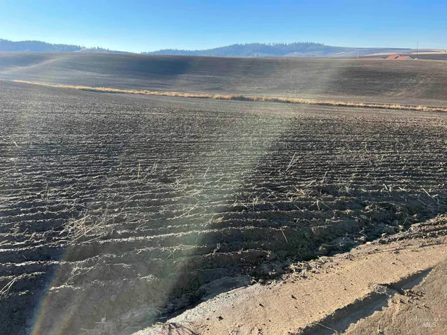 $150,000 | Tbd Tbd Gray Lane, Unit 1, Viola, ID 83872