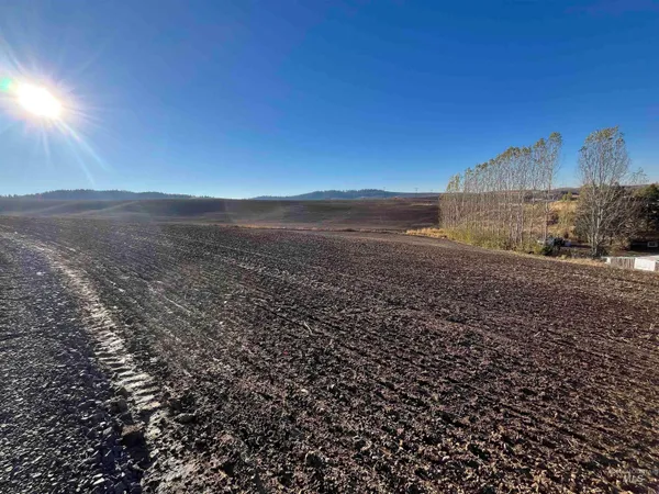 $150,000 | Tbd Tbd Gray Lane, Unit 1, Viola, ID 83872