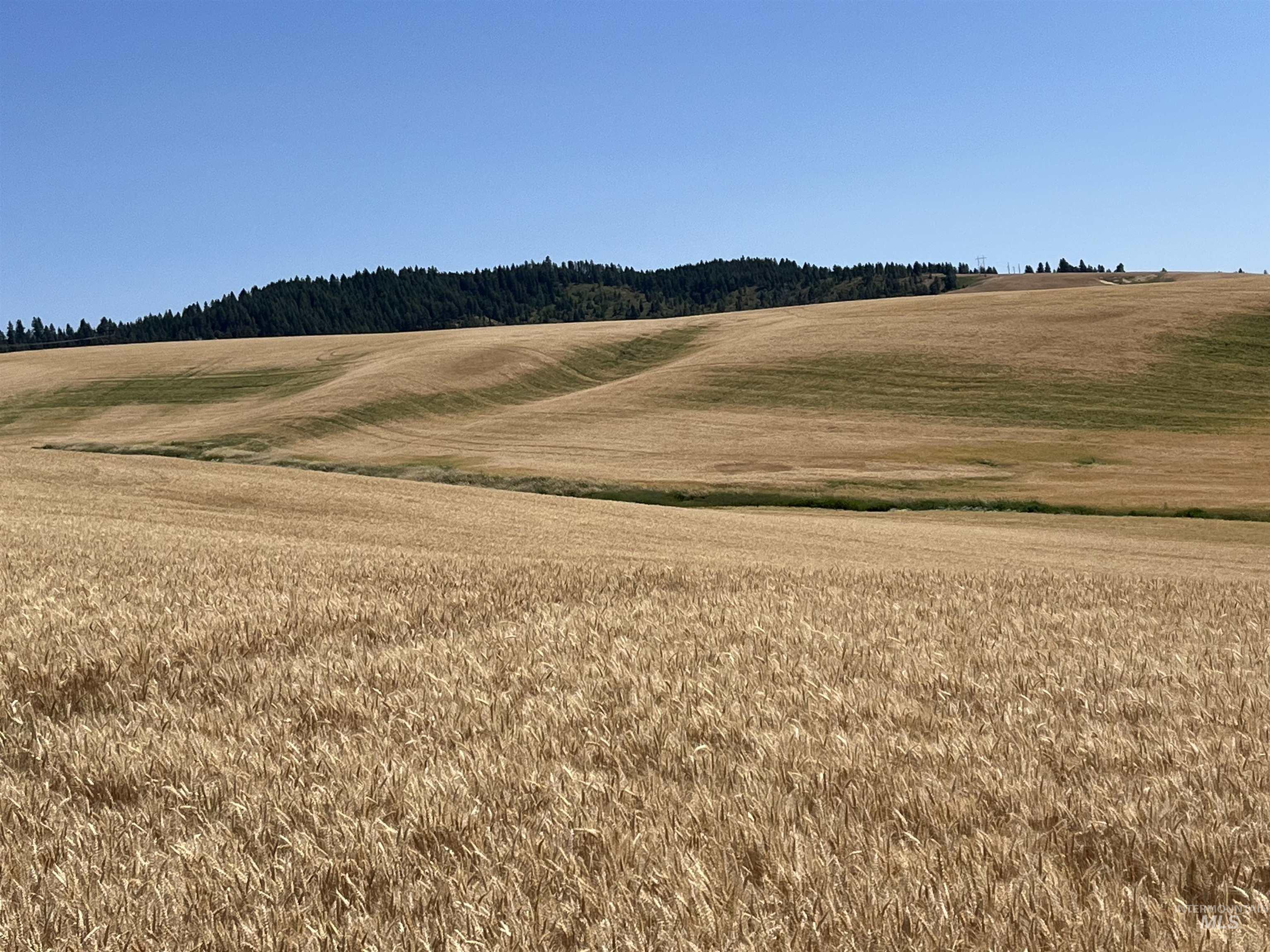 Tbd Tbd Gray Lane, Unit 1 Viola, ID 83872 - Photo 8 of 27 View of undeveloped land