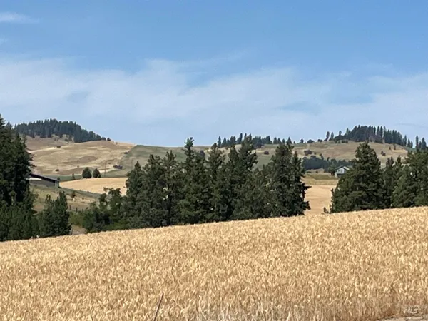 $150,000 | Tbd Tbd Gray Lane, Unit 1, Viola, ID 83872