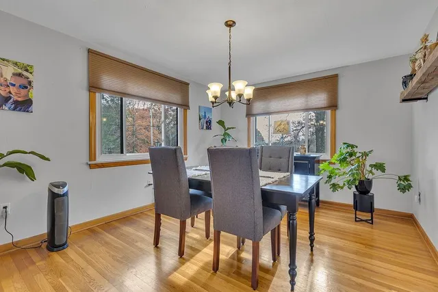 a dining room with furniture potted plants and wooden floor