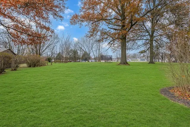 a view of a field with large trees