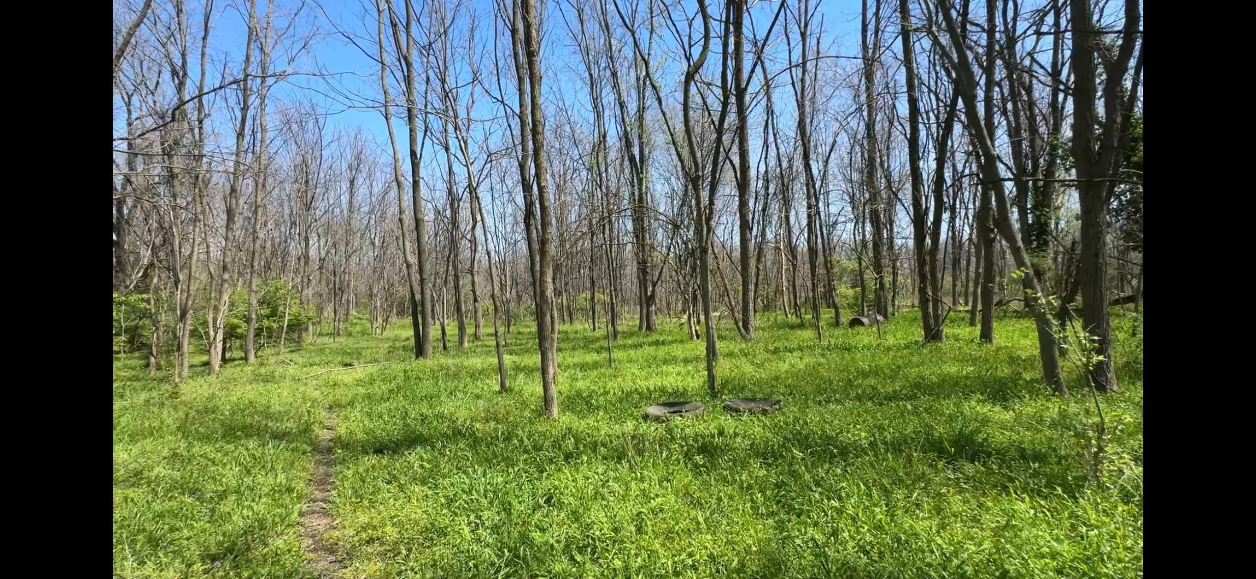 8154 Crowl Road De Graff, OH 43318 - Photo 19 of 34 IMG_4476