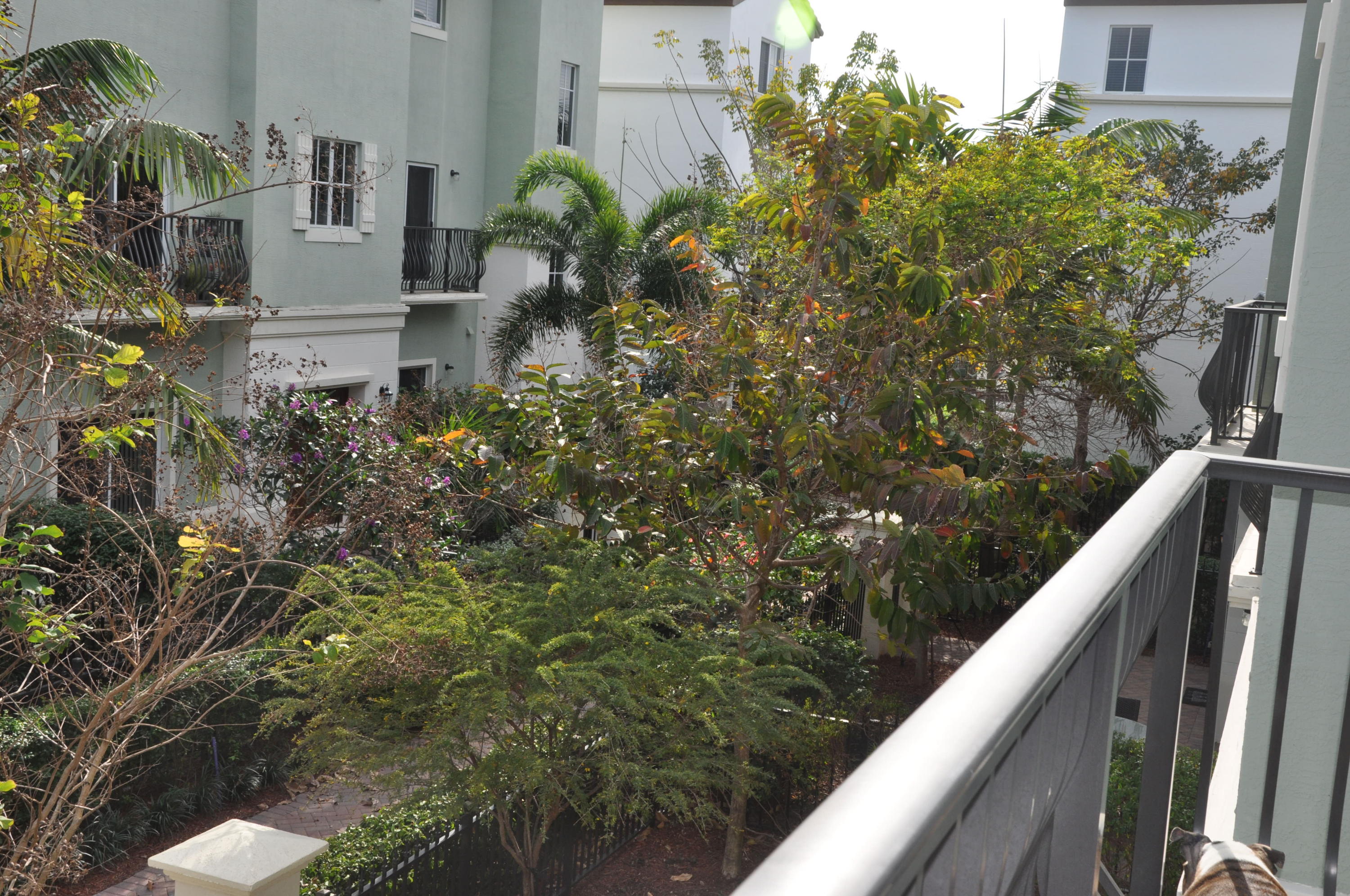44 Northwest 7th Street Boca Raton, FL 33432 - Photo 18 of 24 Balcony
