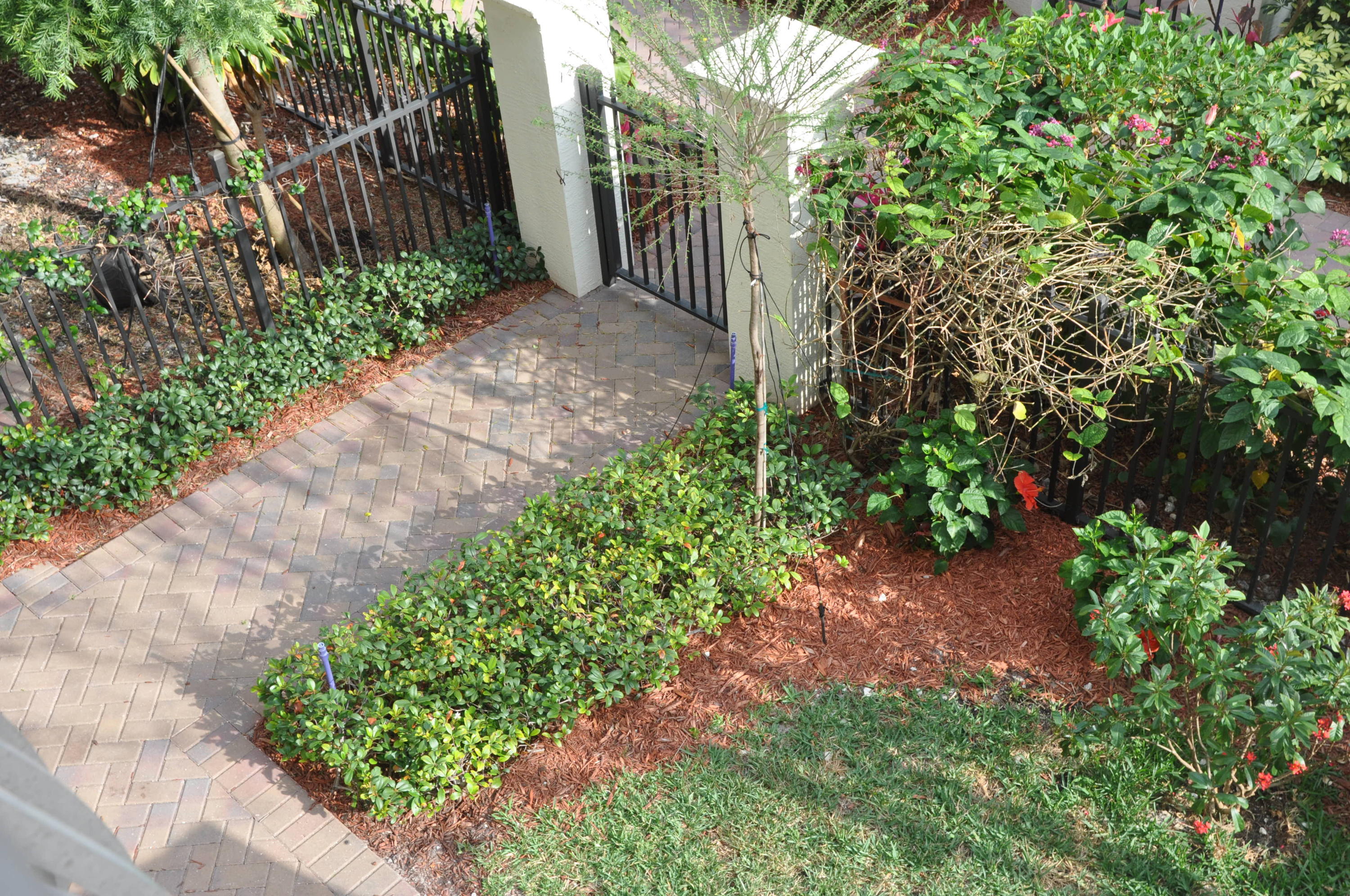 44 Northwest 7th Street Boca Raton, FL 33432 - Photo 19 of 24 View