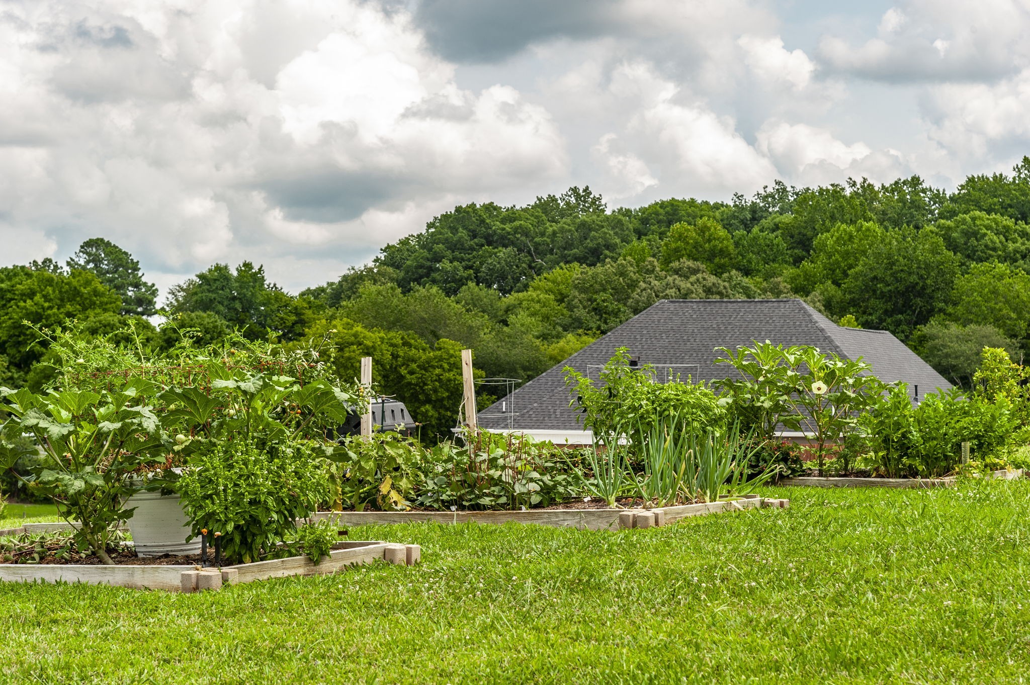 3186 Battle Creek Road Springfield, TN 37172 - Photo 52 of 59