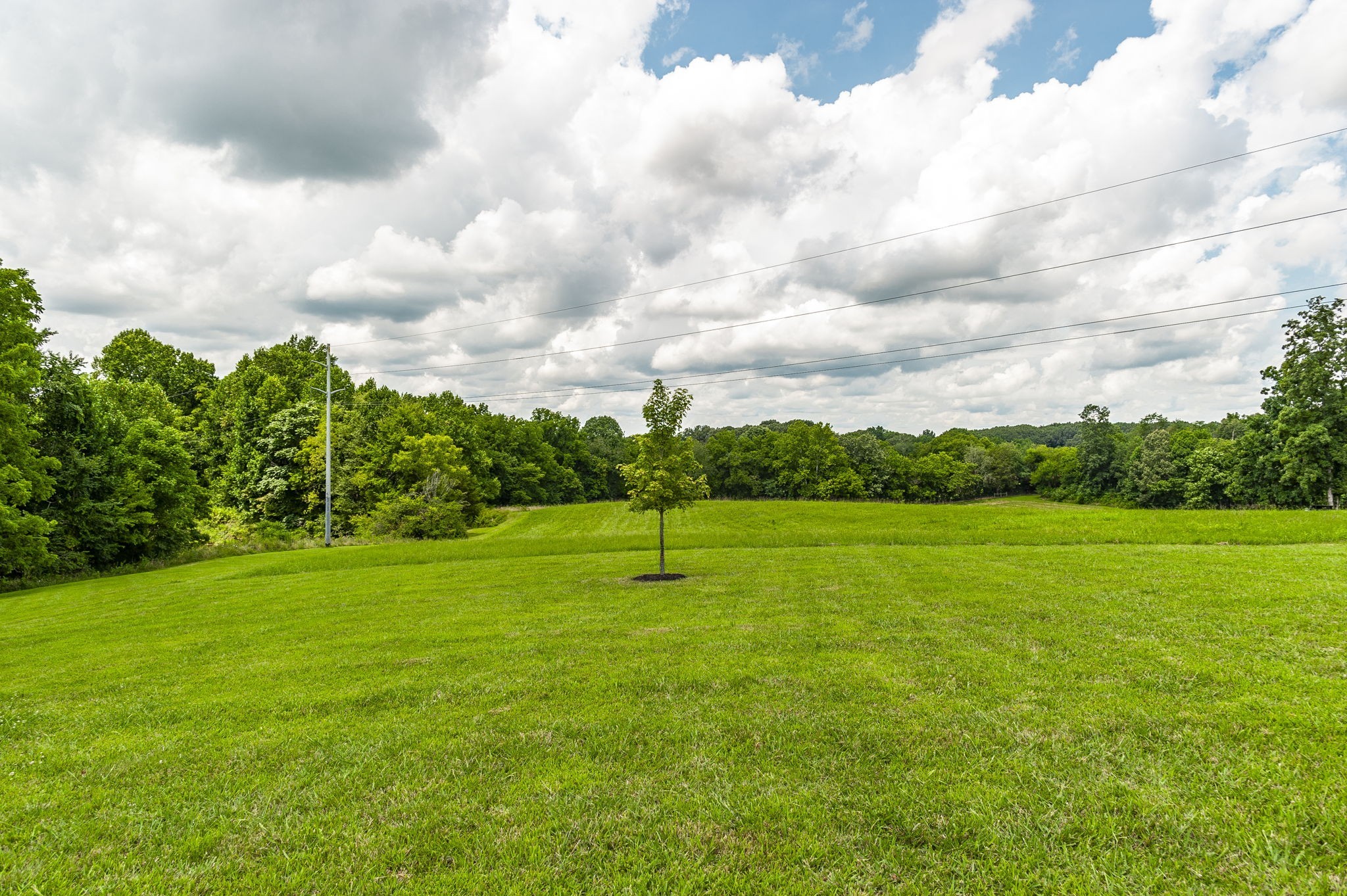 3186 Battle Creek Road Springfield, TN 37172 - Photo 56 of 59 a view of an ocean from a yard