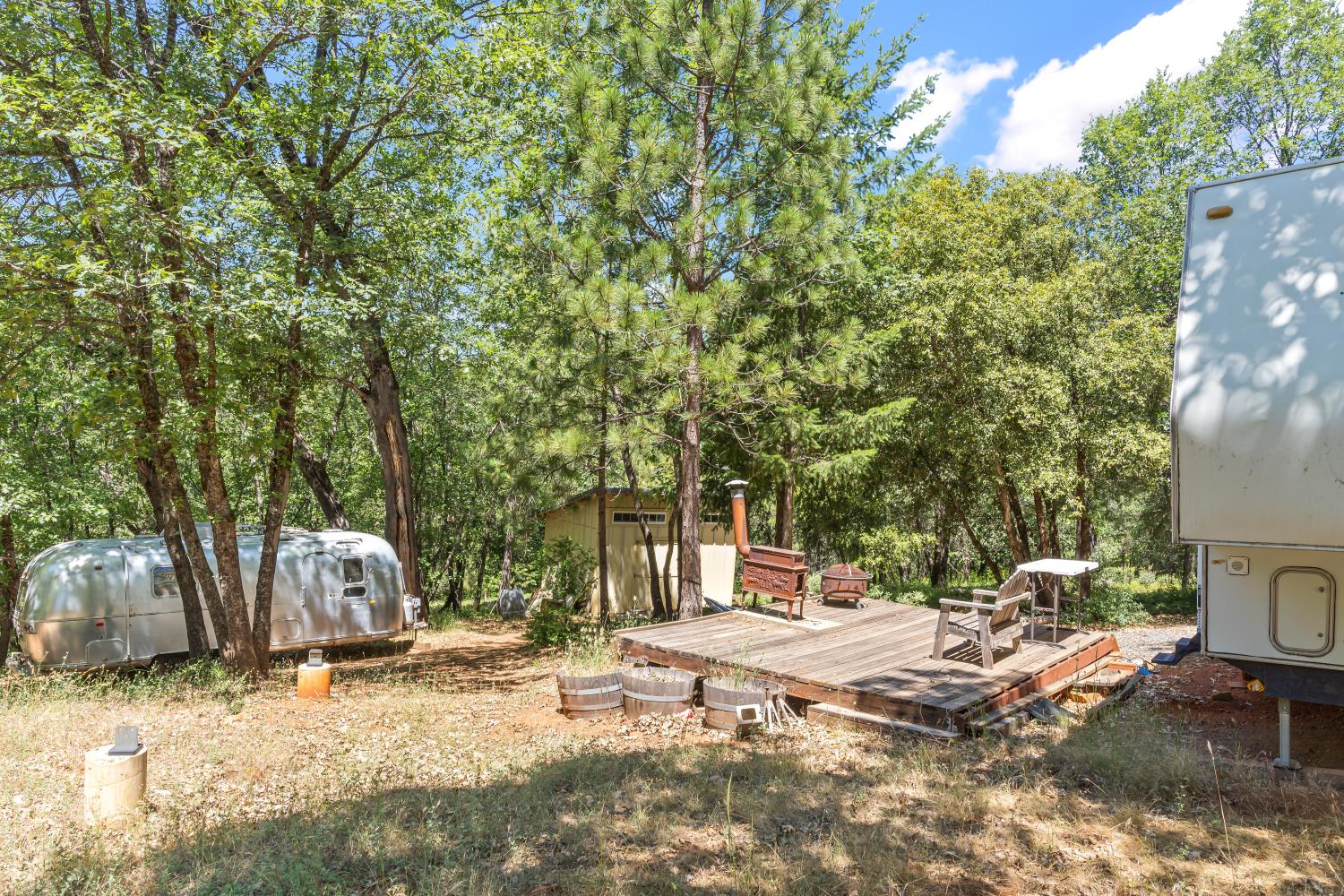 2640 Trail Gulch Road Placerville, CA 95667 - Photo 17 of 37 a view of a yard with a tree
