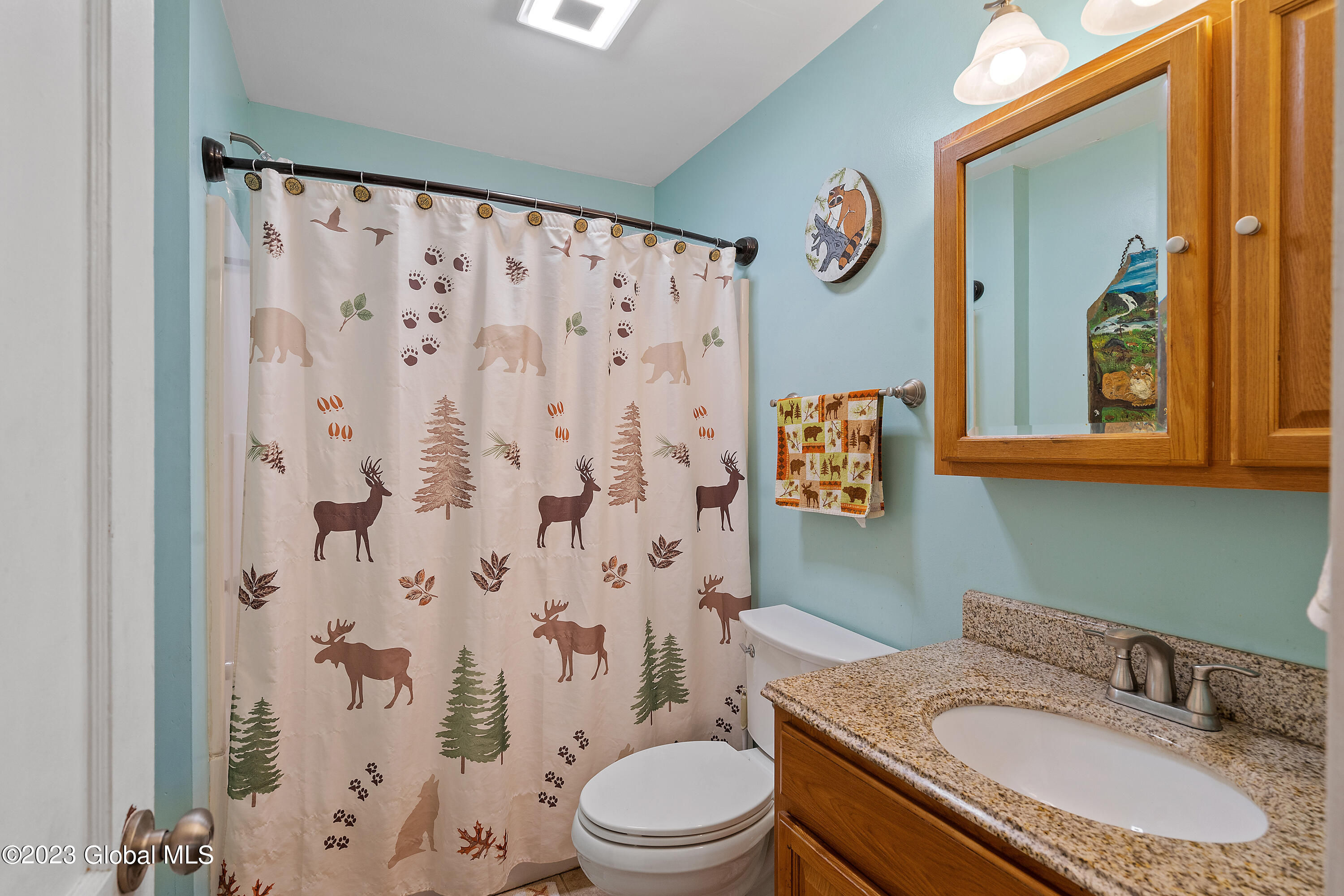 221 Lake Road Westerlo, NY 12023 - Photo 28 of 46 Full Bathroom