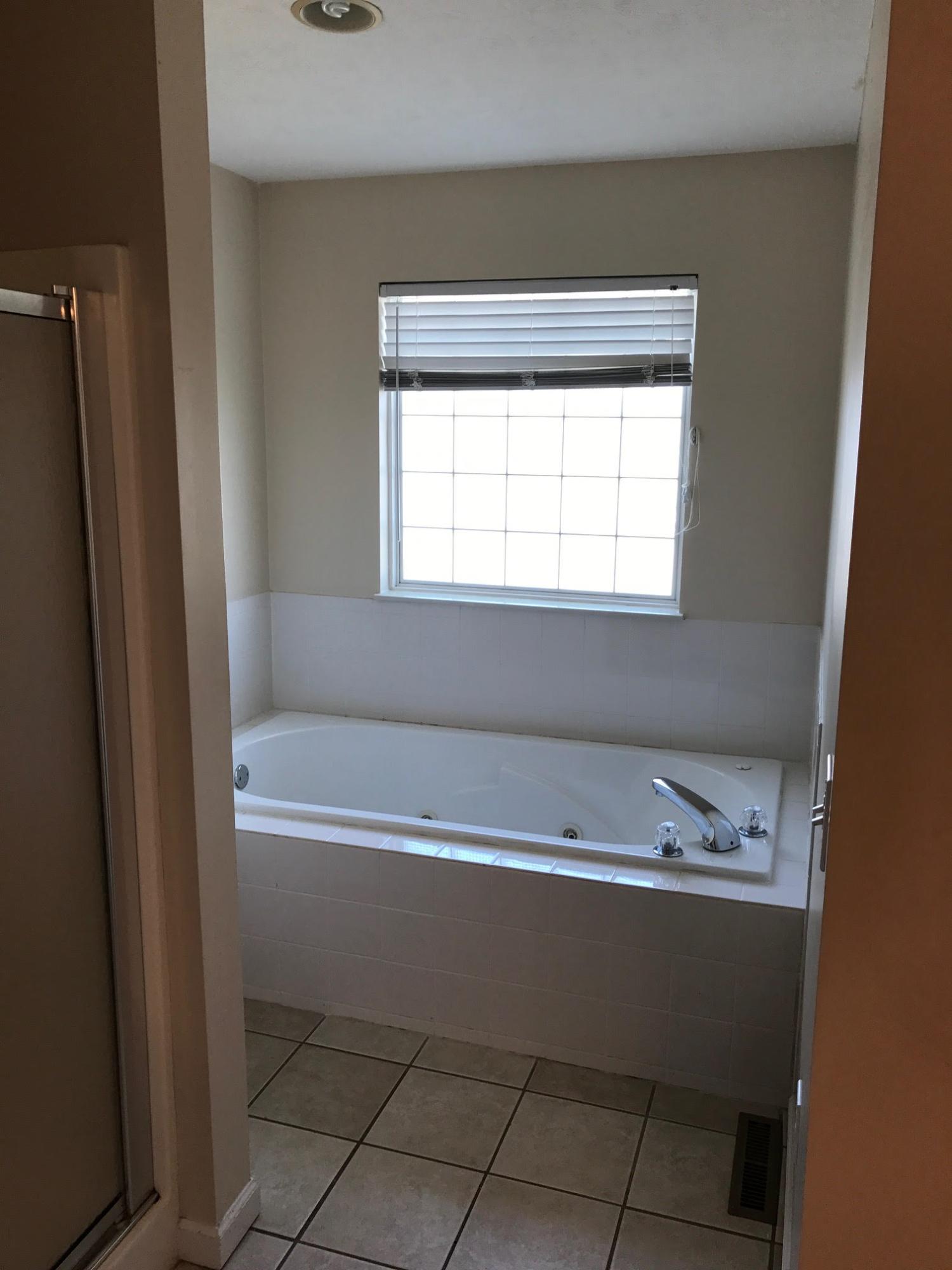 5002 Morganton Road Greenback, TN 37742 - Photo 9 of 10 Master bath shower and jetted tub