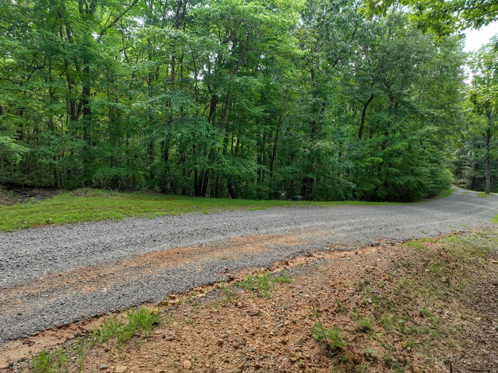 27 R Tanager Trail Ellijay, GA 30536 - Photo 16 of 60 Gallery Image 16