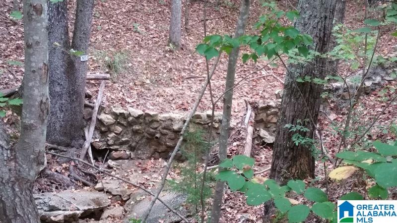 793 County Road Centre, AL 35960 - Photo 7 of 32