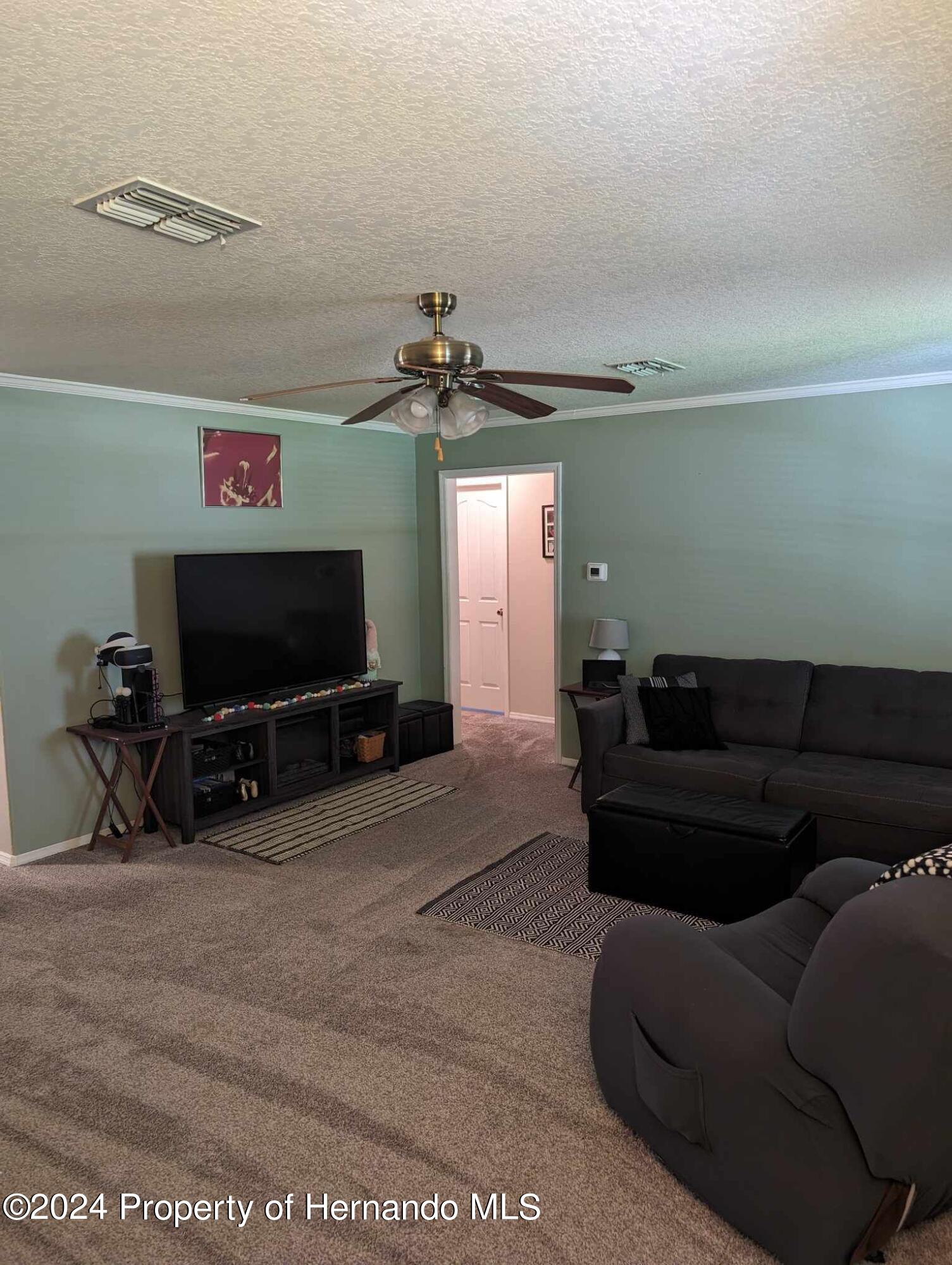 15031 Hummingbird Weeki Wachee, FL 34614 - Photo 12 of 22 Living Room 2