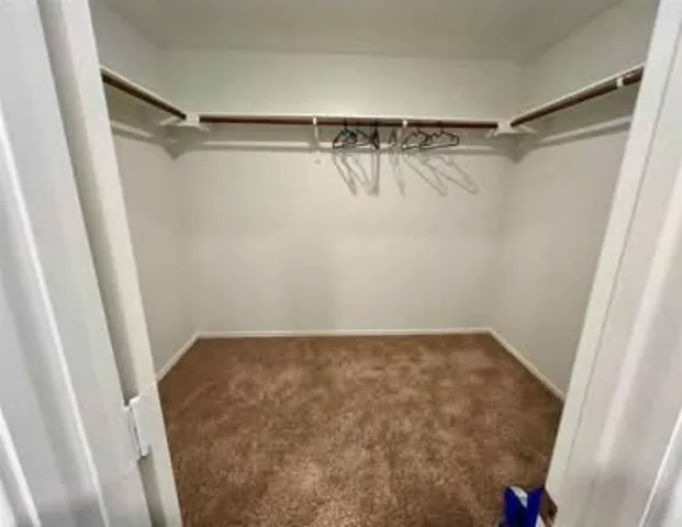 $1,600 | 420 Halfmoon Drive, Lockhart, TX 78644