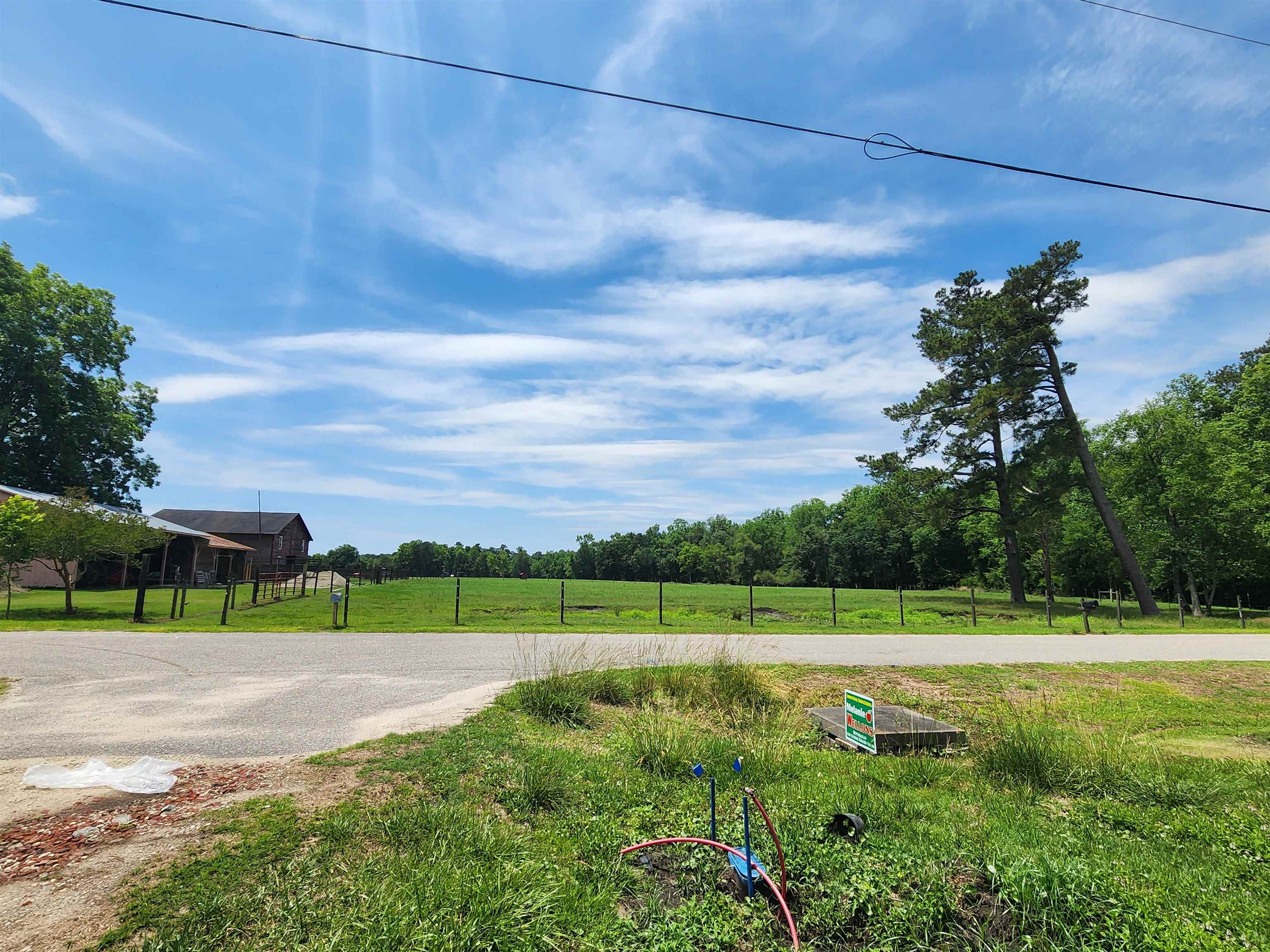 190 Sunshine Road Loris, SC 29569 - Photo 4 of 22