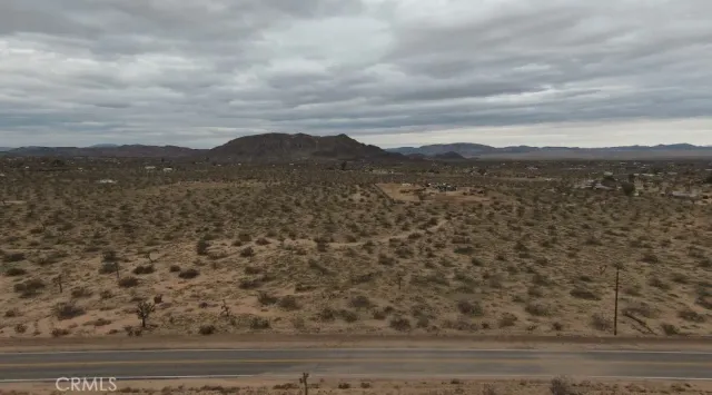 a view of a dry yard