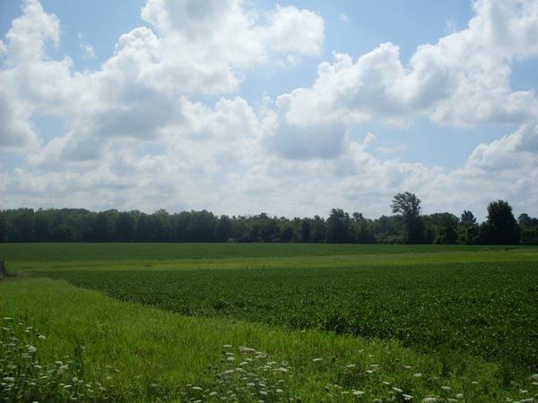 Lutes Road Coldwater, MI 49036 - Photo 1 of 4 Primary Photo