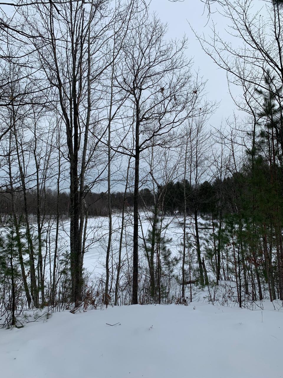 Lot 1 Bennet Road Amberg, WI 54102 - Photo 9 of 11 Gallery Image 9