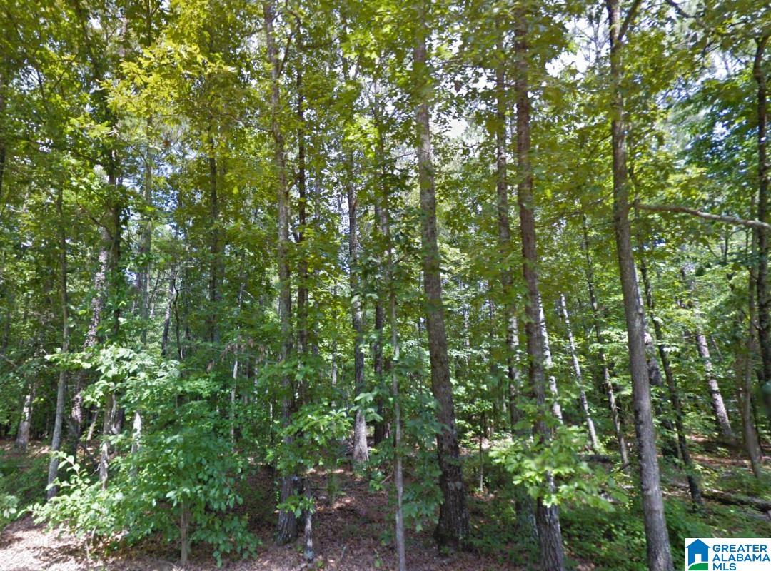 Renfroe Road Alpine, AL 35014 - Photo 10 of 14