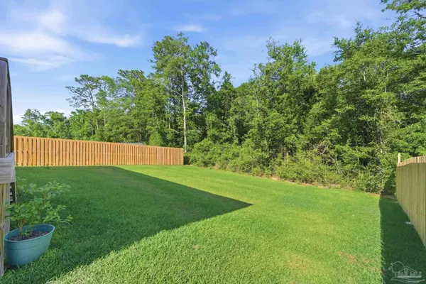 a view of a yard with a tree