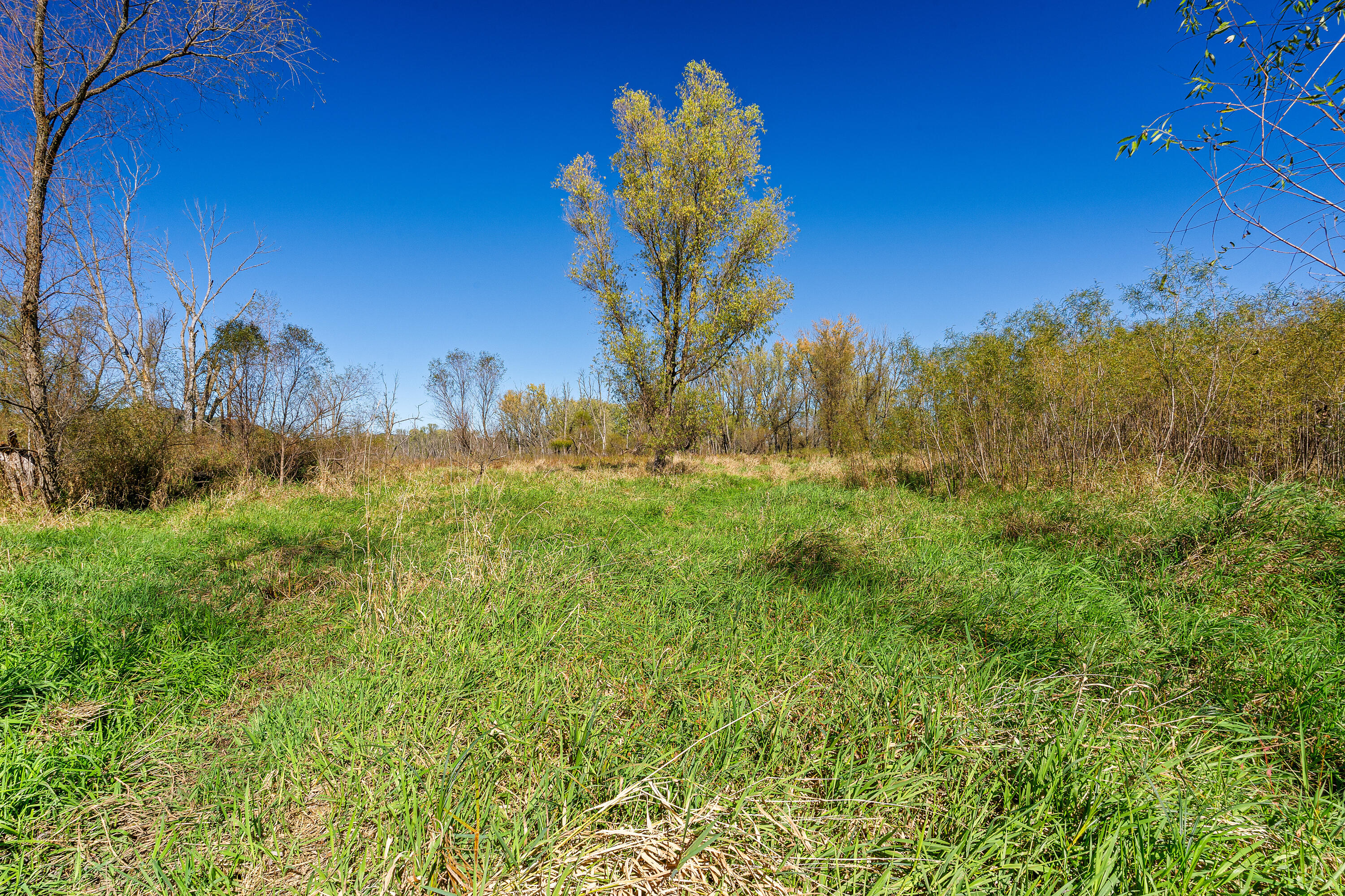 S2986 Barth Road Cross, WI 54629 - Photo 6 of 29 04__DSC1971_mls
