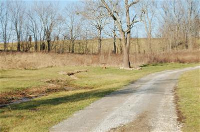 200 Little Stoner Road Winchester, KY 40391 - Photo 4 of 4 Photo 4