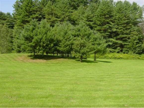 Cemetery Road North Troy, VT 05859 - Photo 10 of 12 Gallery Image 10