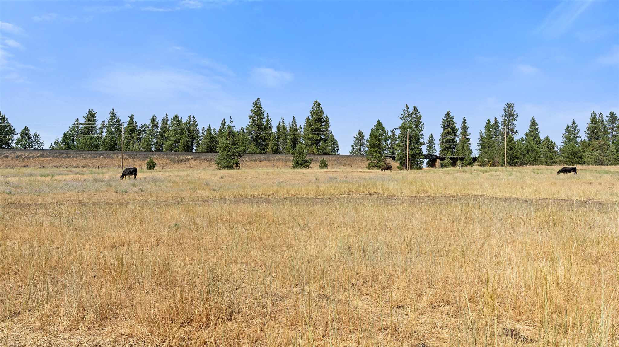 22401 West Thorpe Road Medical Lake, WA 99022 - Photo 26 of 29