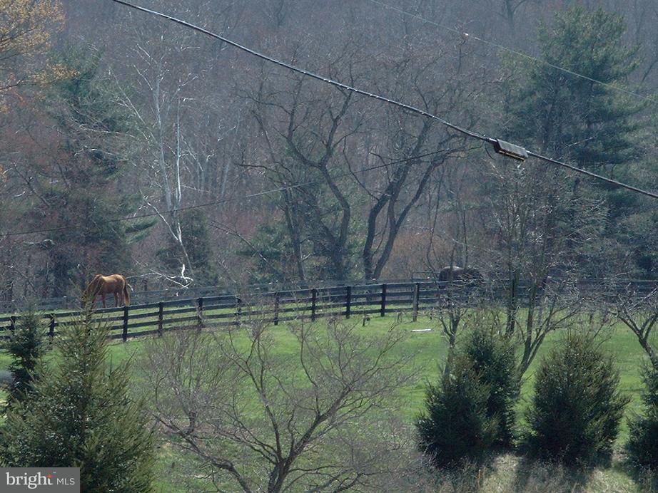 0 Sleepy Hollow Road, Unit 1 Nottingham, PA 19362 - Photo 6 of 6