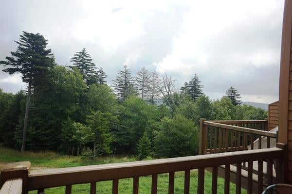7 Powderidge Road Snowshoe, WV 26209 - Photo 14 of 17 Gallery Image 14