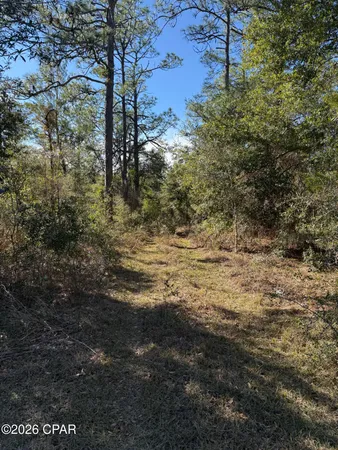 $85,000 | Lot 21 Grassy Pond Road, Chipley, FL 32428