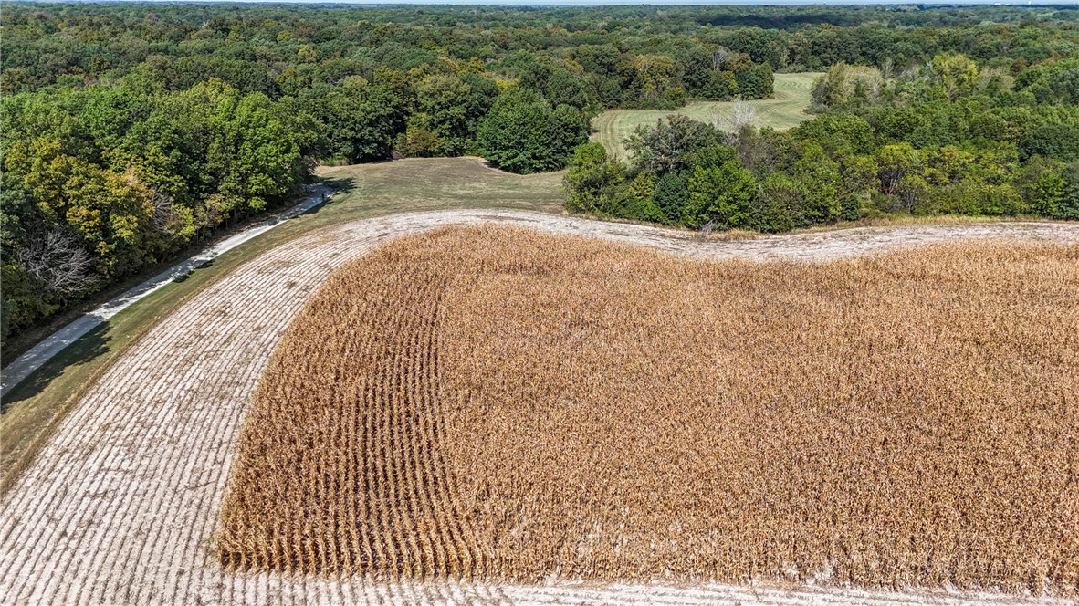 2389 Lincoln Hwy Road Charleston, IL 61920 - Photo 46 of 48