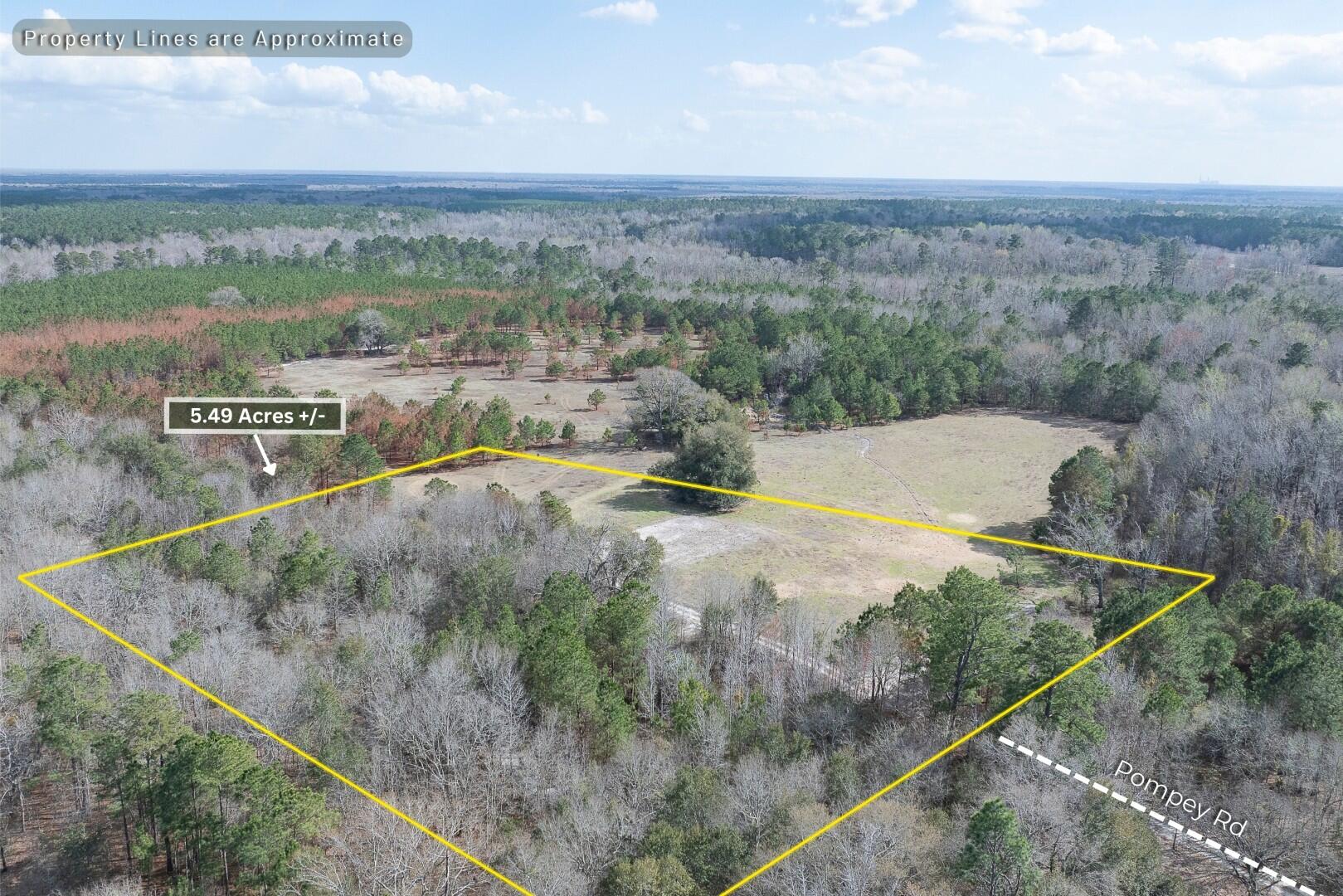 2 Pompey Road Manning, SC 29102 - Photo 9 of 40