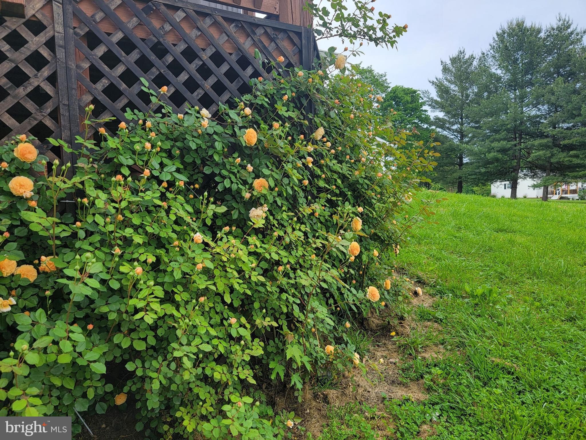 39125 Rodeffer Road Lovettsville, VA 20180 - Photo 48 of 55 Gallery Image 48