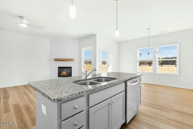 $293,440 | 106 Dees Meadow Lane, Fremont, NC 27830