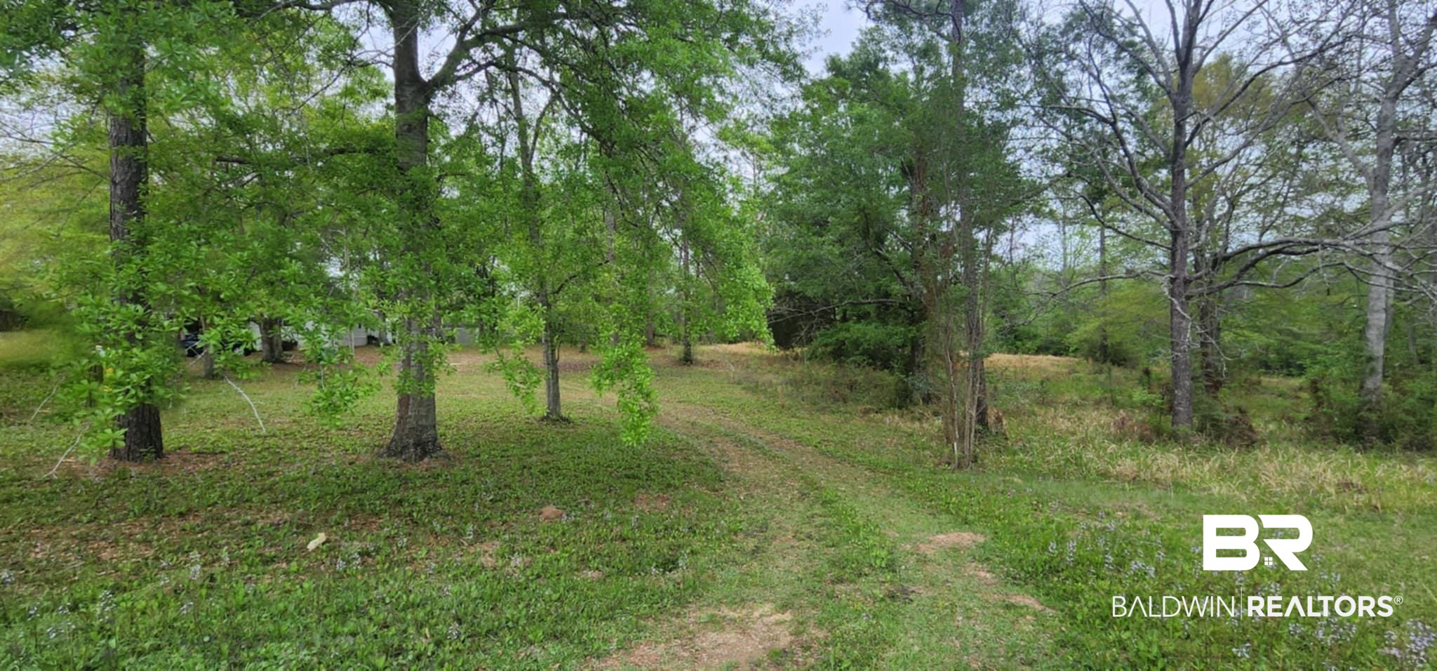 24407 Patterson Road Robertsdale, AL 36567 - Photo 2 of 18 View of road
