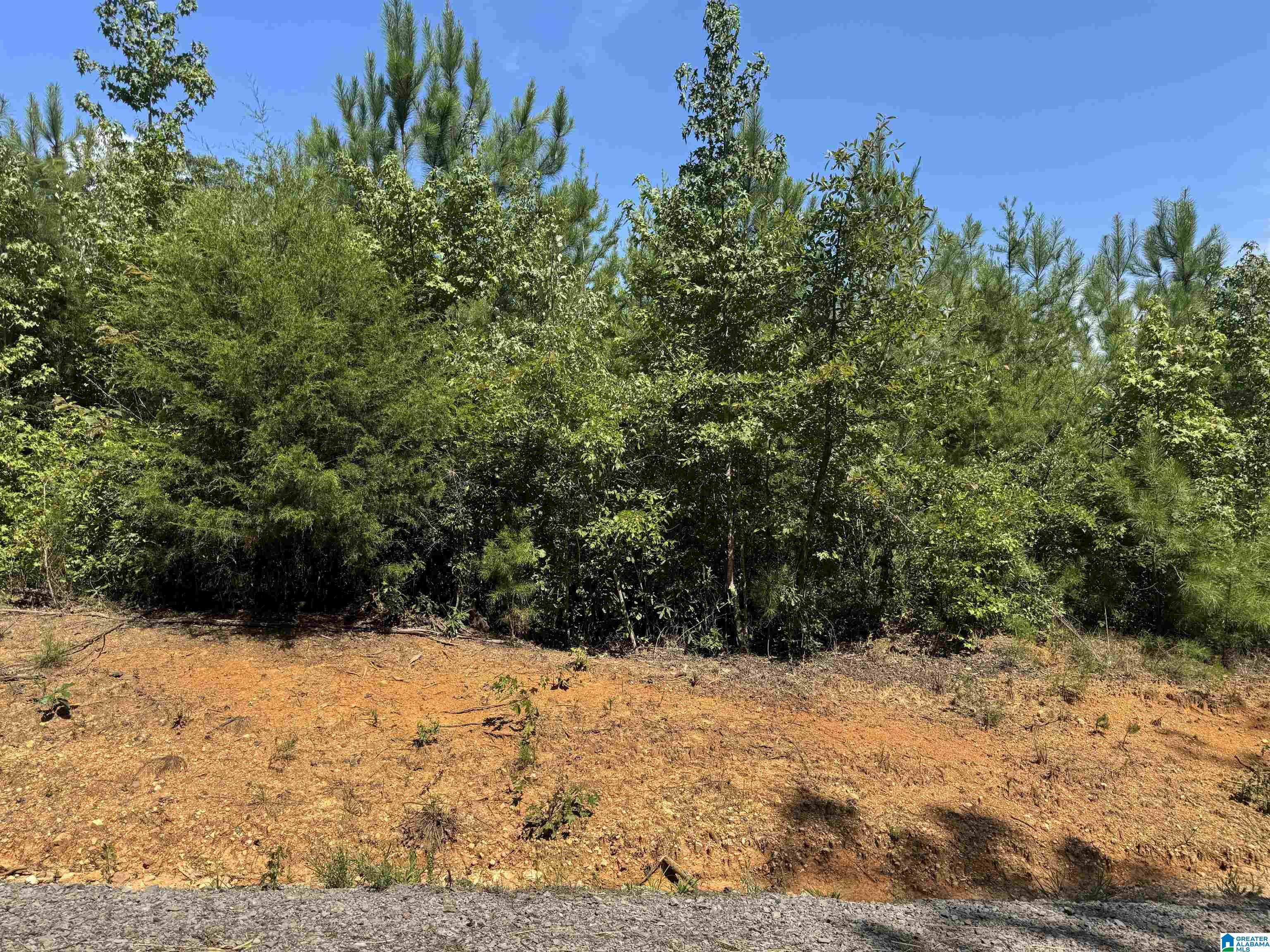 Short Town Road, Unit 123 West Blocton, AL 35184 - Photo 3 of 5