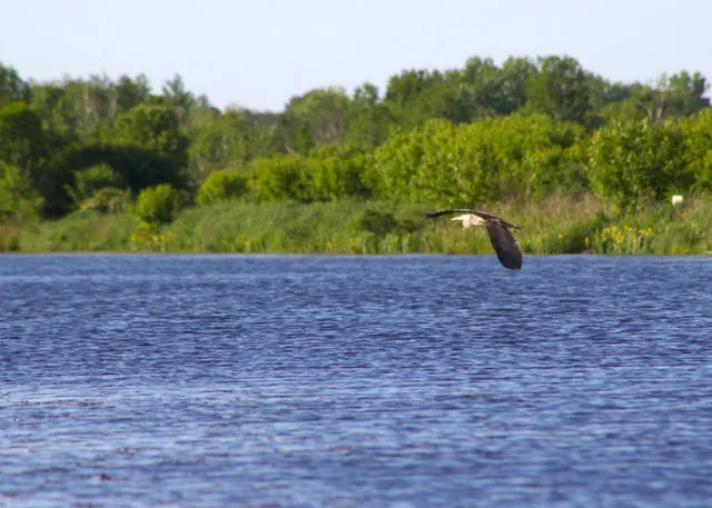 $300,000 | N1028 Chalet Drive, Waupaca, WI 54981