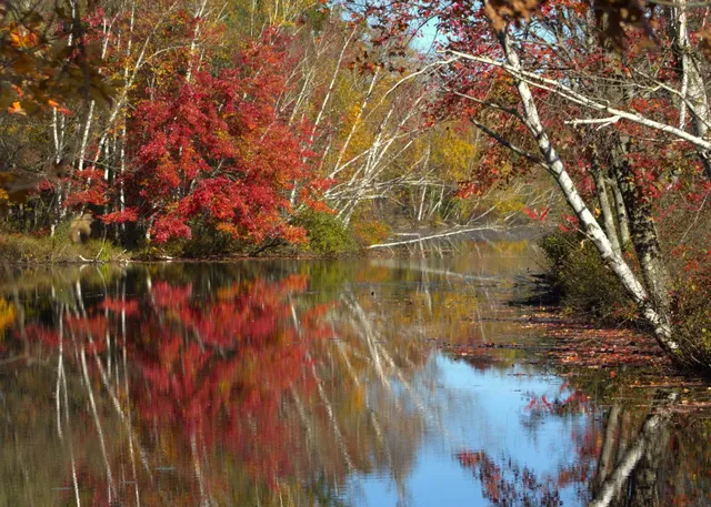 $300,000 | N1028 Chalet Drive, Waupaca, WI 54981