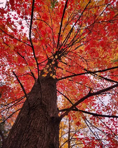 $300,000 | N1028 Chalet Drive, Waupaca, WI 54981