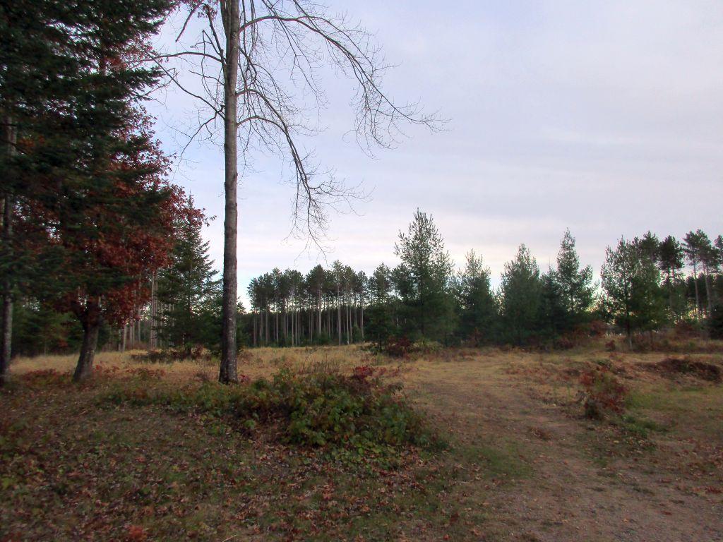 3728 Pine Square Road Tomahawk, WI 54487 - Photo 46 of 71 Gallery Image 46