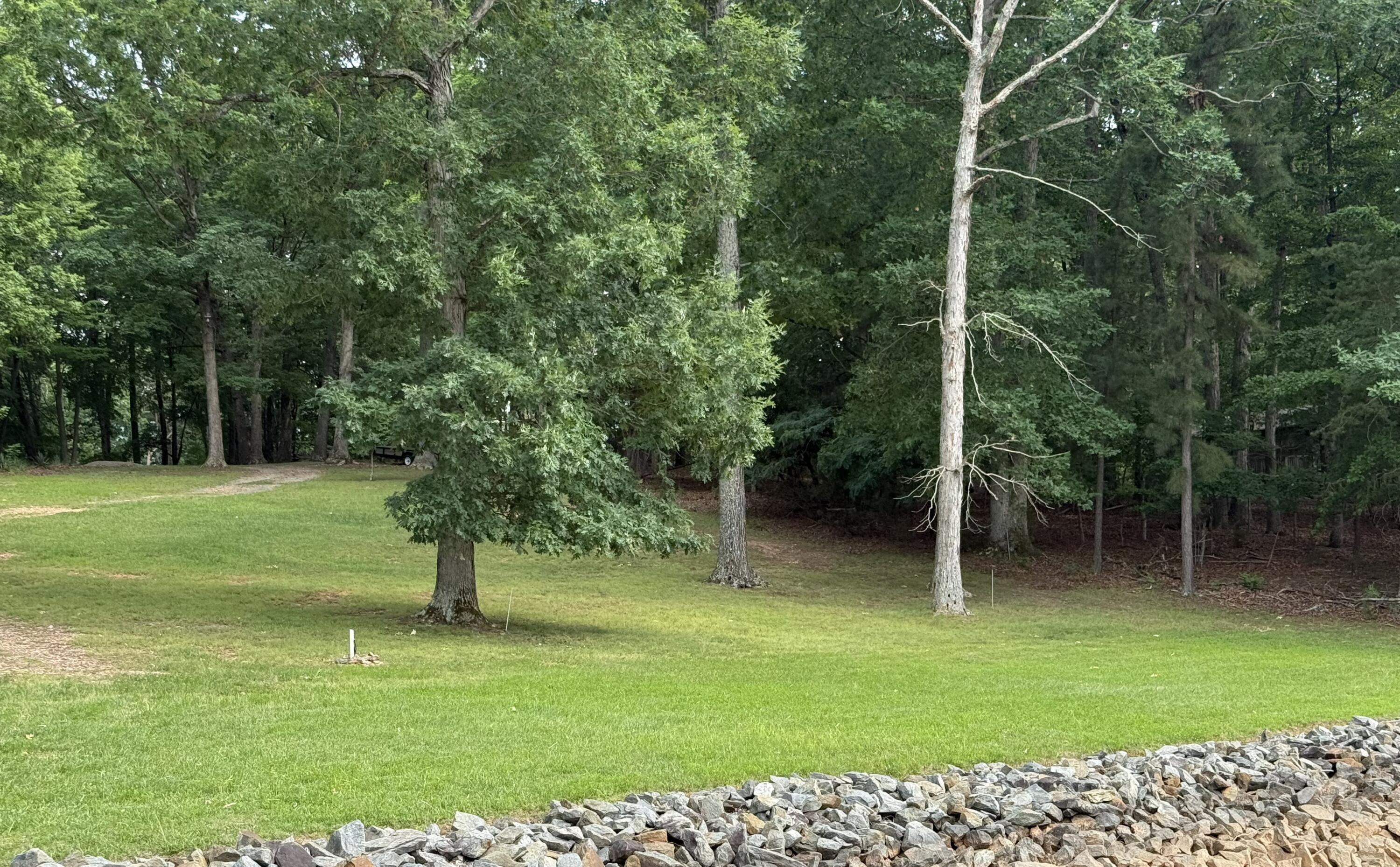 365 Hardy Road Penhook, VA 24137 - Photo 6 of 13 Ret 5