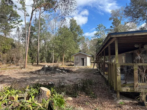 a view of a park with large trees