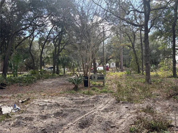 a view of outdoor space with lots of trees